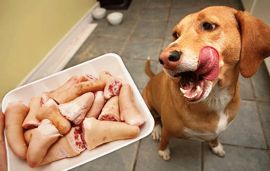 Can Dogs Eat Pork? Is Pork Safe For Dogs?
