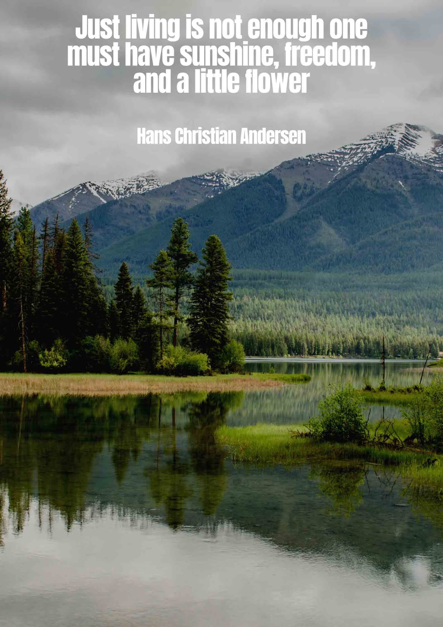 Beautiful Quotes On Peace In Nature That Will Flow Into You