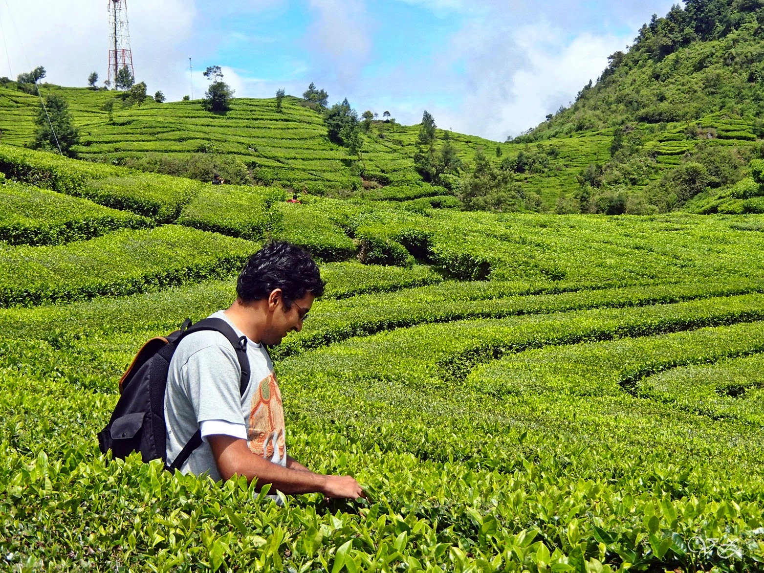 things to do in bandung