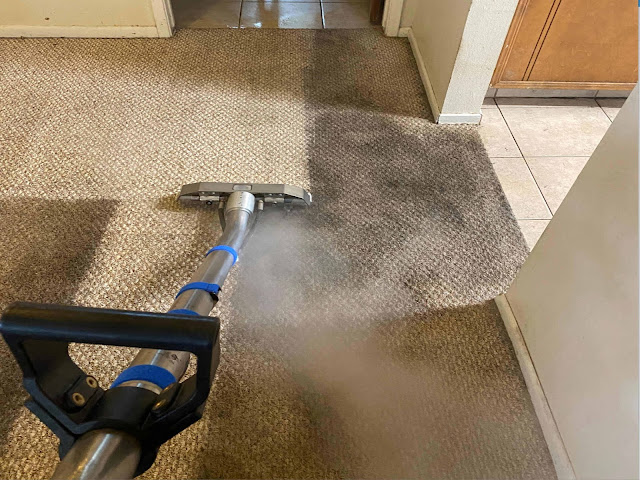 Best Carpet Cleaning