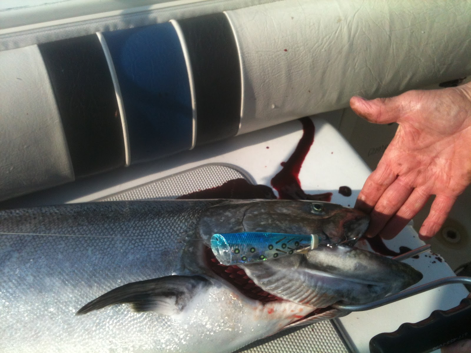 Five Orr's Lake Michigan Sport Fishing Charters Current Lake Michigan