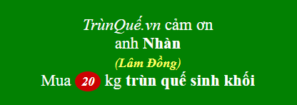 Trùn quế về Lâm Đồng
