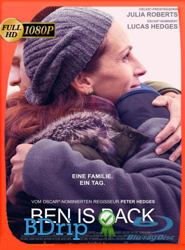 Regresa a mi  (2018) BDRIP 1080p Latino Dual [GoogleDrive] TeslavoHD