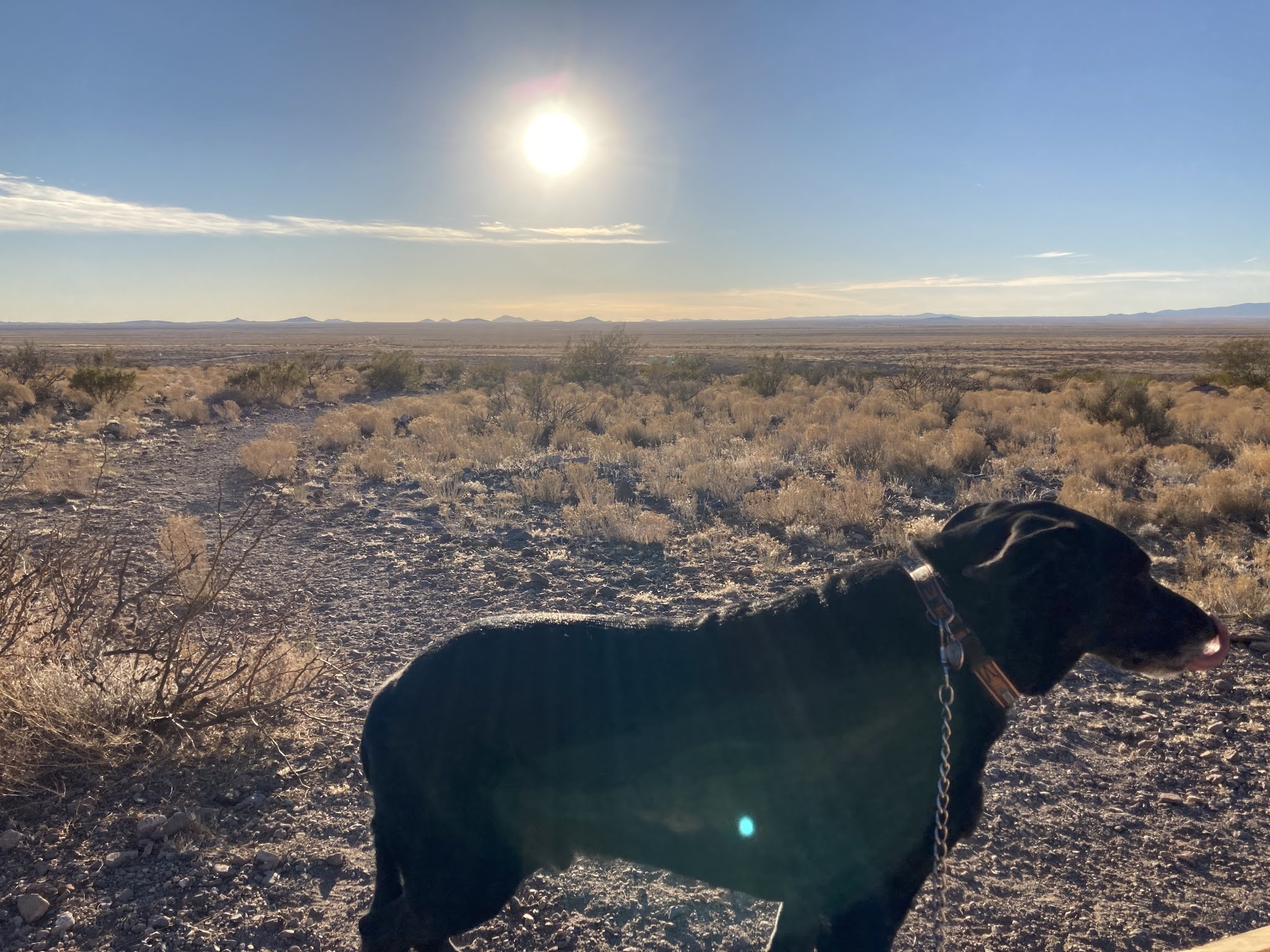 Reluctant Rebel Getting Back To Life As We Once Knew It (Kind Of)