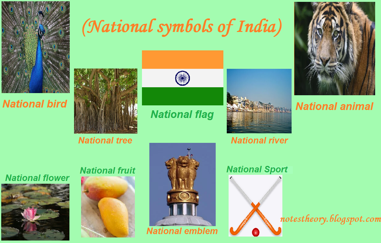 National Symbols Of India Naukriradar | Images and Photos finder