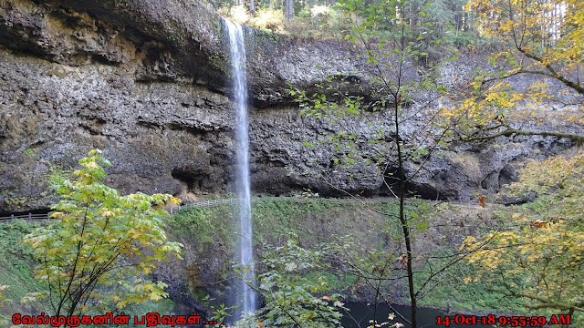 Silver Falls State Park Falls 1