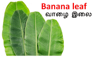 www.tamilvazhikkatral.com