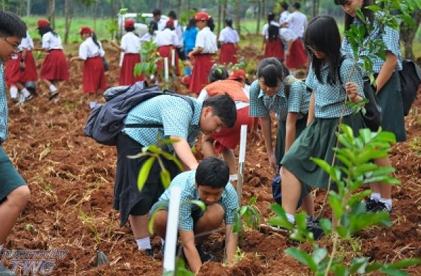 Upaya Melestarikan Flora Dan Fauna Masrafli Com