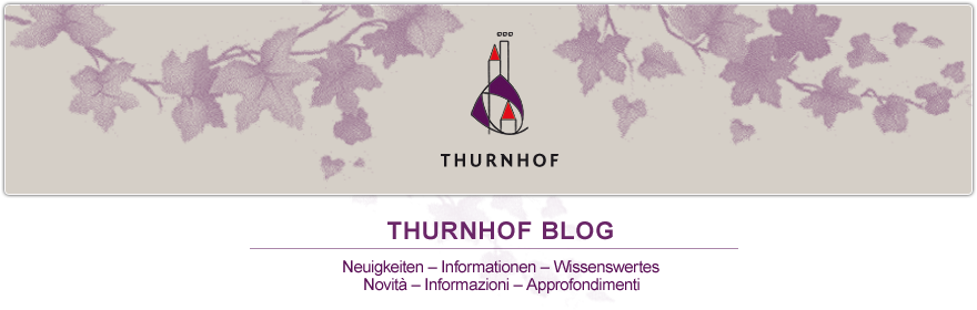 Thurnhof-Blog
