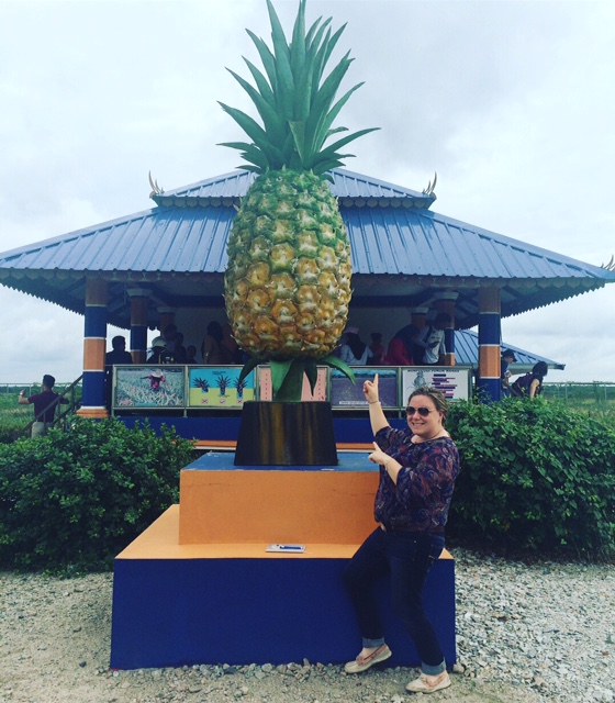 Adventures in Agriculture Education Pekan Nanas Our Visit to