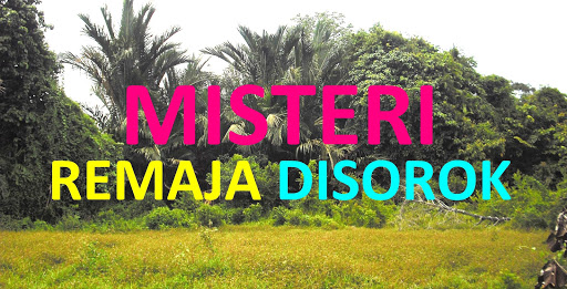 Misteri Remaja Disorok