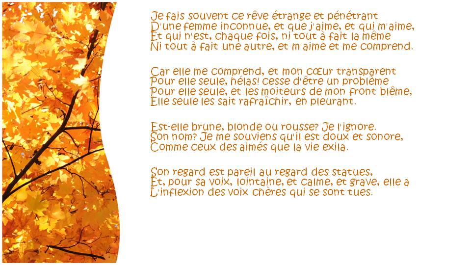 PARCOURS: Mon rêve familier (P. Verlaine)