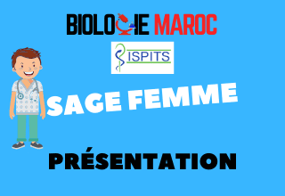 FILIÈRE SAGE FEMME - Présentation générale