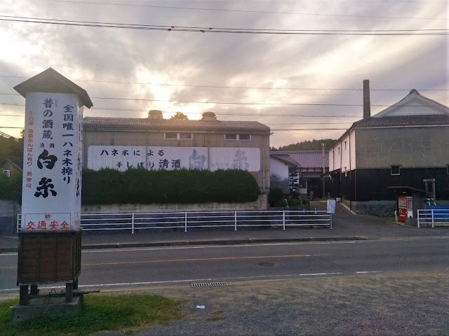 raw-image
