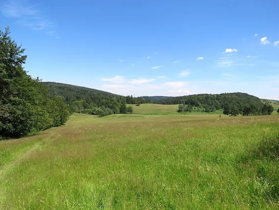 Łąki nad doliną Jasionki laka