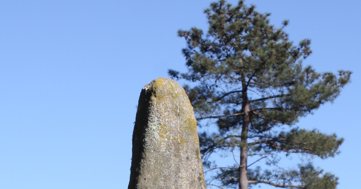 Historia del Arte Lapa de Gargantáns