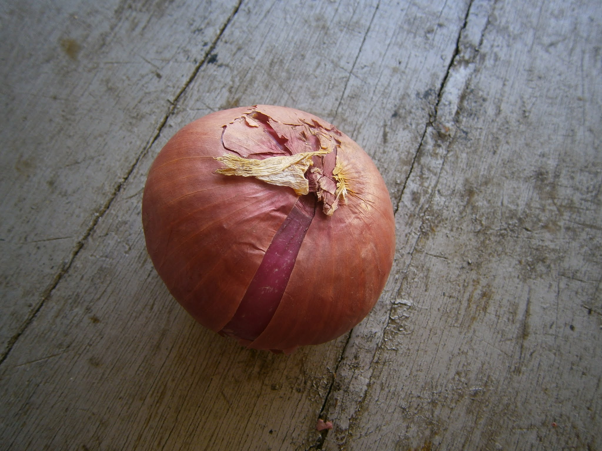 Cabeza de cebolla puesto sobre una mesa de madera