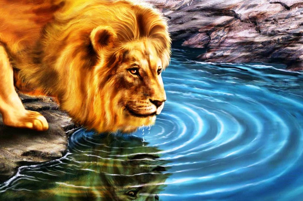 Animals 3D New HD Wallpapers Wallpapers animals-3d-new-hd-wallpapers-wallpapers