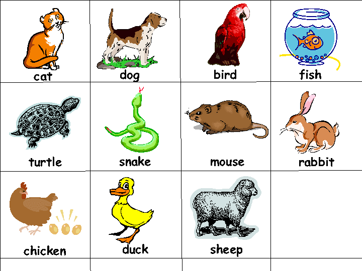 Pendidikan Bahasa Inggris SD, SMP, SMA Materi Bahasa