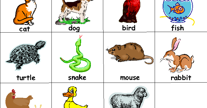 Materi Bahasa Inggris Kelas 1 Animal Website Edukasi