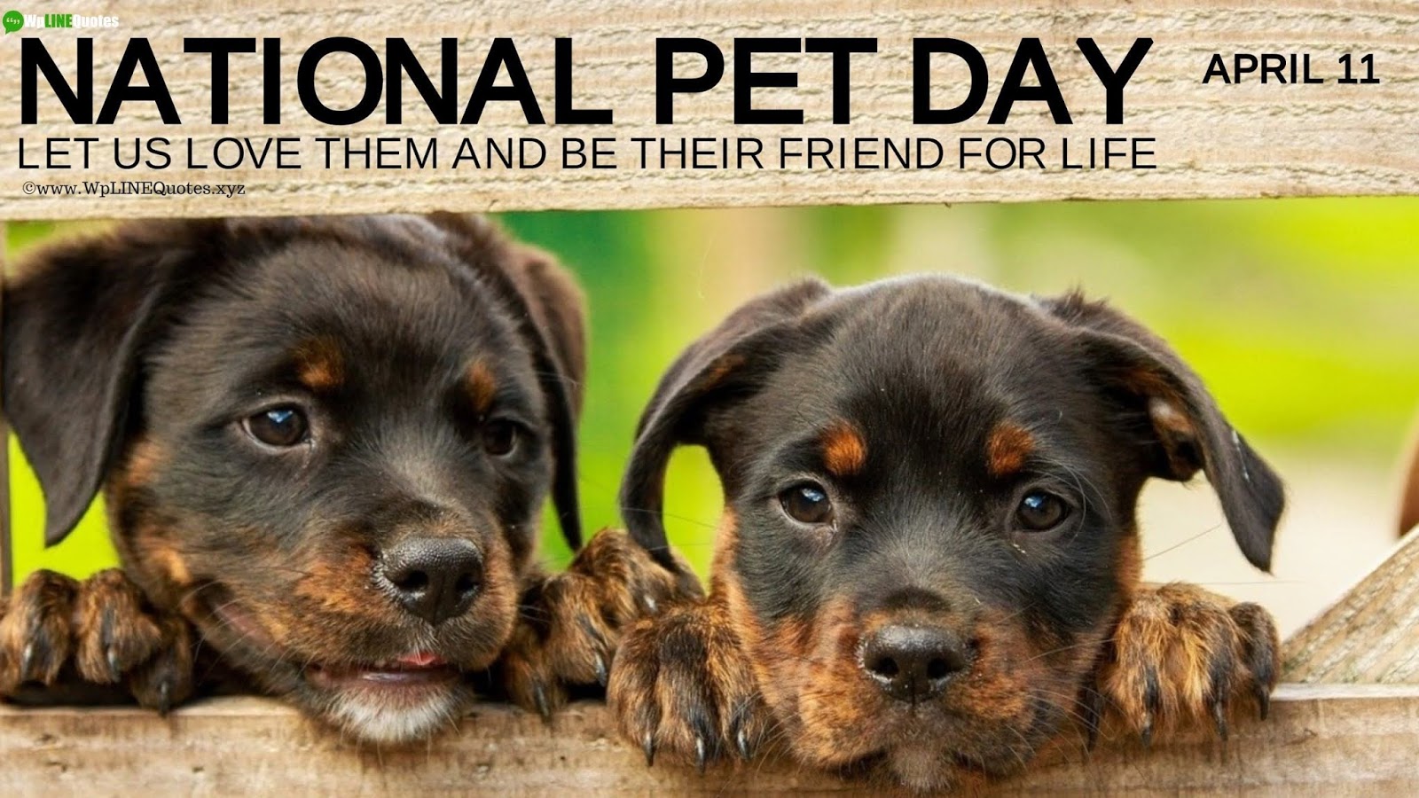 National Pet Day Quotes, Wishes, Captions, Message, Memes, Greetings, History, Facts, Images, Photos, Wallpaper National Pet Day Quotes, Wishes, Captions, Message, Memes, Greetings, History, Facts, Images, Photos, Wallpaper