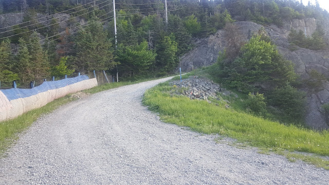 Piste du 4KM qui se rend au sommet du mont Orford