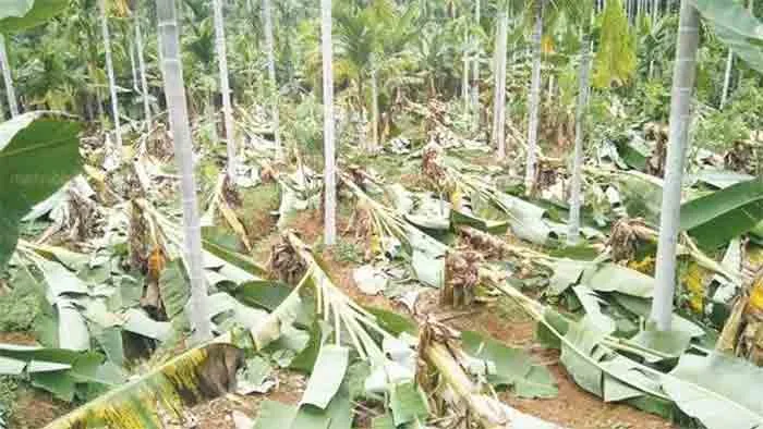 Monsoon: Crop loss of 41.42 crore in Malappuram