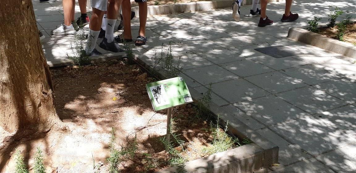 Jardines: Ciencia y arte.