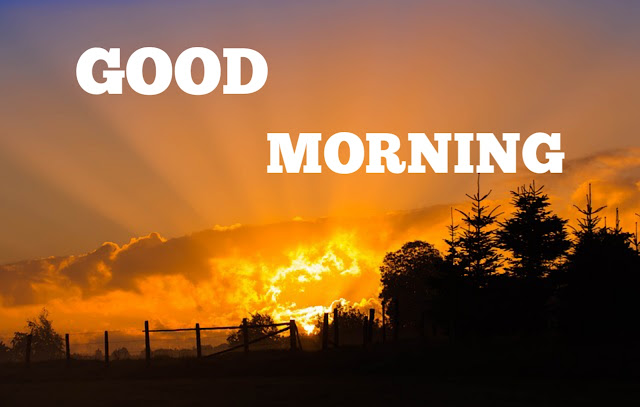 Good Morning Image Free Good Morning Image Free