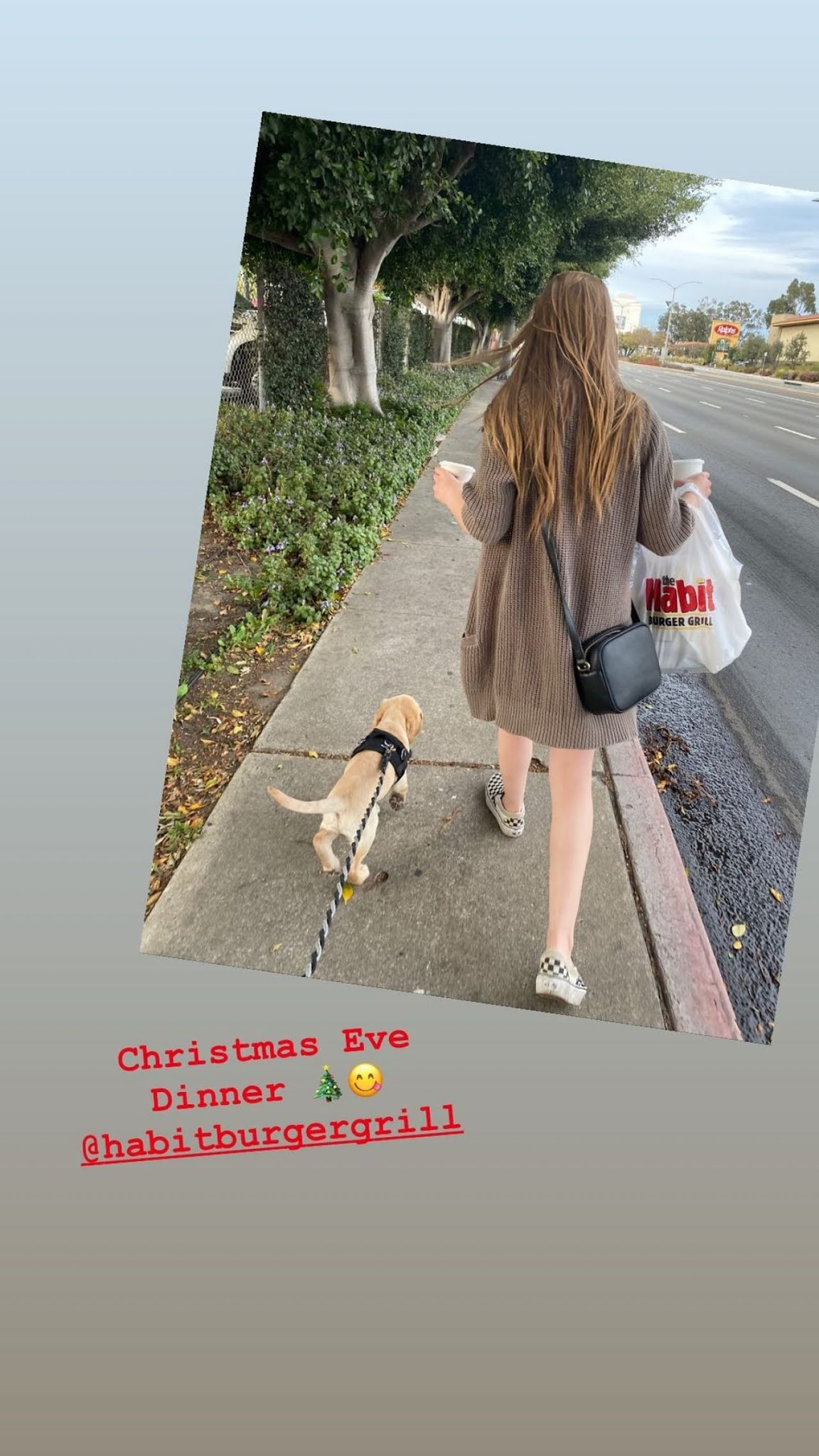 Lyliana Wray 12/25/2020