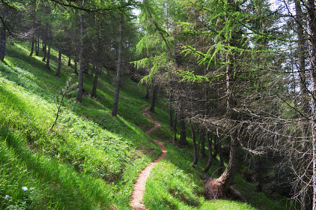 vallarsa cosa vedere escursioni