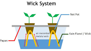 sistem wick hidroponik