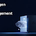 Synology DSM 7.0 and C2 Cloud Expansion Launched