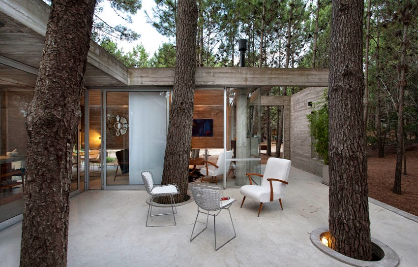 CASA DE CEMENTO: CASA DE DISEÑO