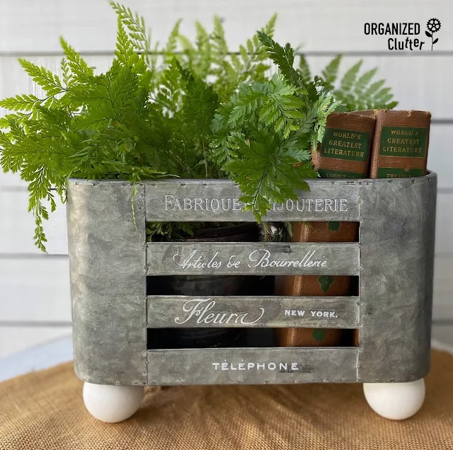 Photo upcycled galvanized container with fern & books