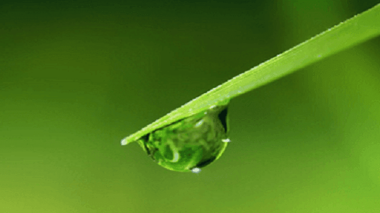 Puisi Cinta Beda Agama Tasbihku Dan Salibmu