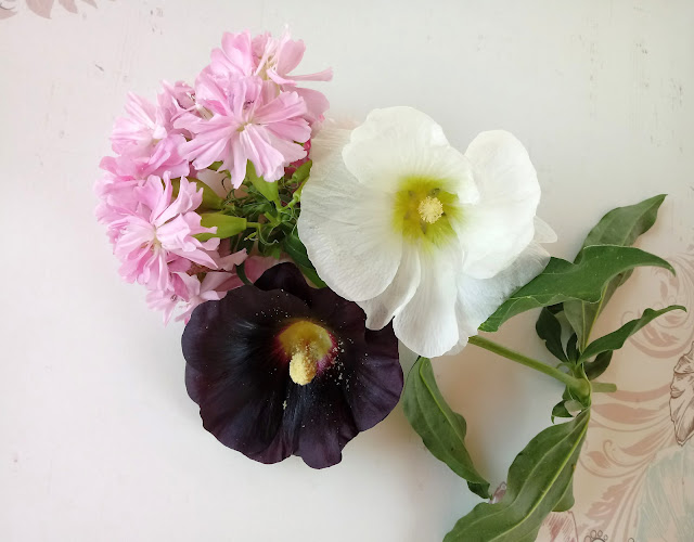 Composición floral con soporia o flor del jabón