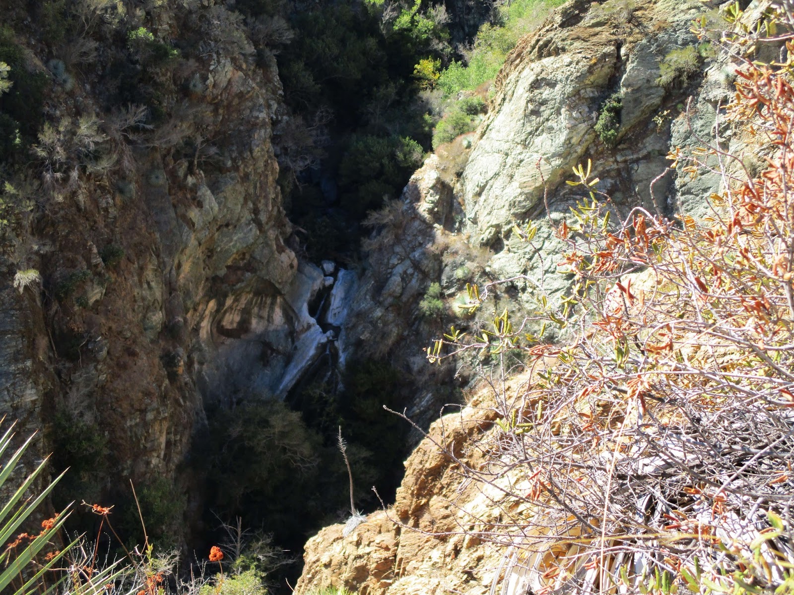 Iron Hiker Devil Gulch (attempt) and Horseshoe Annex Mine