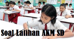 Latihan Soal AKM Kelas SD MI Tahun 2024-2025