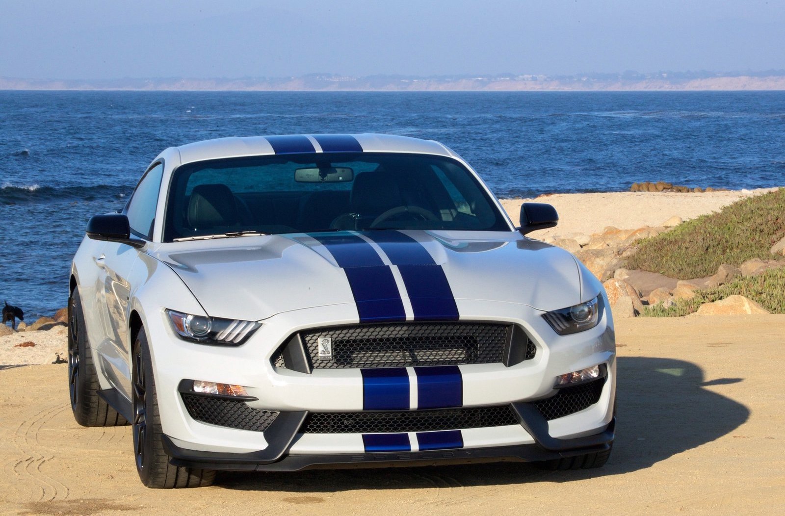 Mustang Shelby решетка