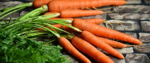 فوائد الجزر