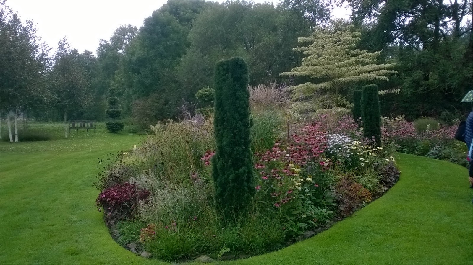 Grüner wird�s nicht Impressionen aus dem Garten Moorriem