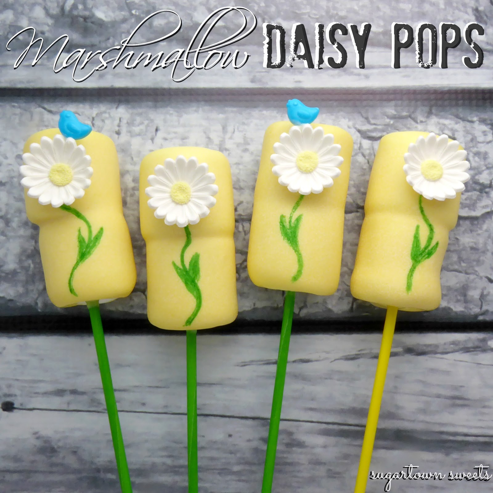 Sugartown Sweets White Chocolate Covered Marshmallow Daisy Bouquet