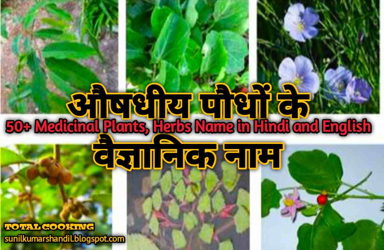औषधीय पौधों के वैज्ञानिक नाम 50+ Medicinal Plants, Herbs