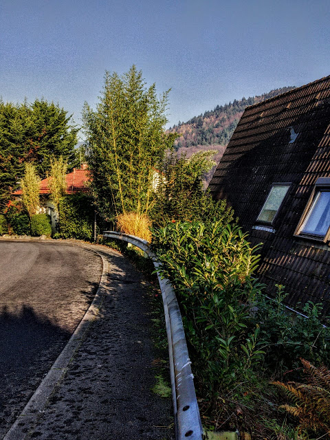 HEIDELBERG hills