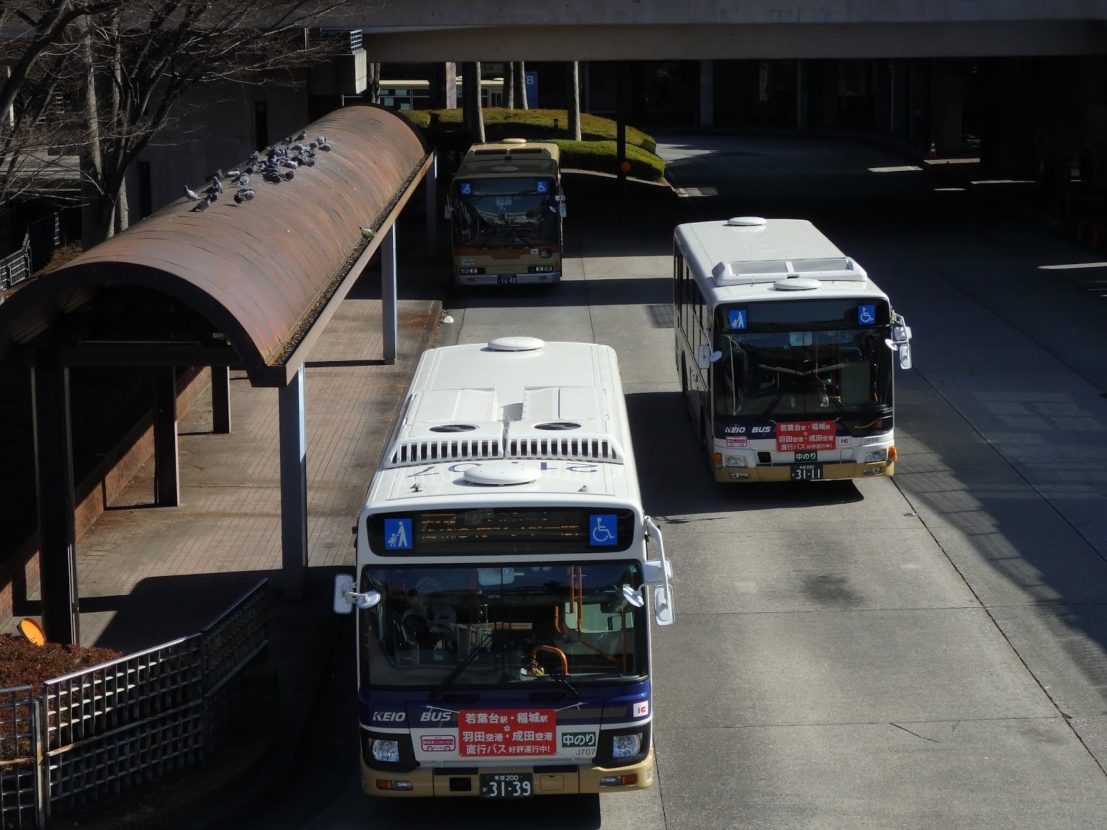 謹んでお慶び申し上げます 新聞はなくても困らないので生活必需品ではない