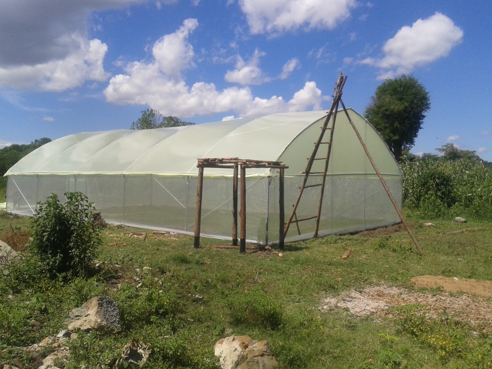 QUALITY AND AFFORDABLE GREENHOUSES FOR KENYA