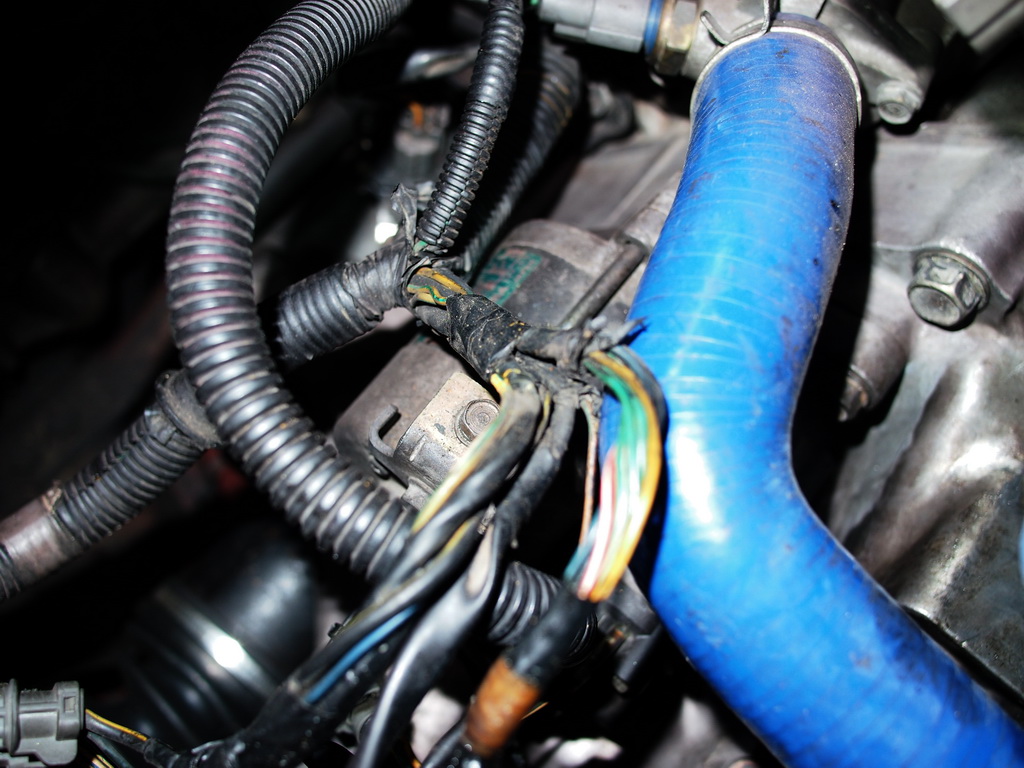 Eg Wiring Harness