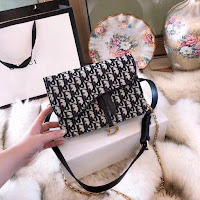 dior oblique saddle clutch