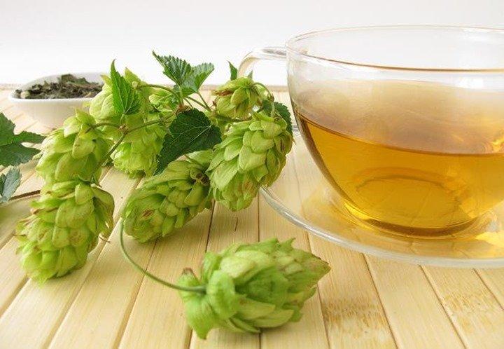 Infusión Relajante de Lúpulo